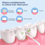 Irrigador Limpiador Oral Bucal Dental Brackets Profesional