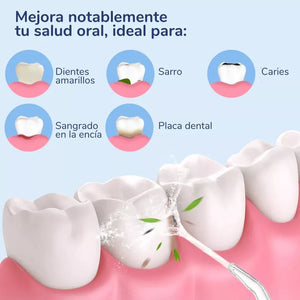 Irrigador Limpiador Oral Bucal Dental Brackets Profesional